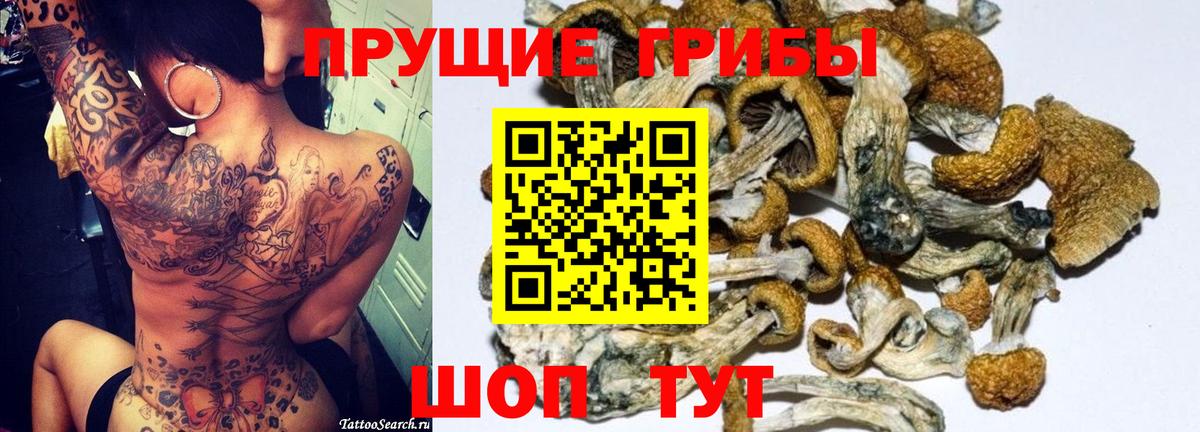 Псилоцибиновые грибы мицелий  Вход с VPN  Ачинск 